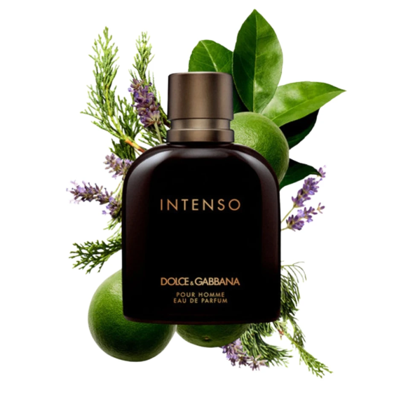 Dolce & Gabbana Intense POUR HOMME 3.3 EDP