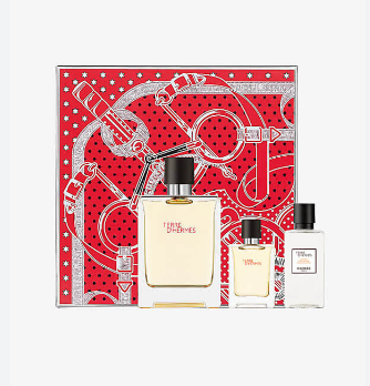 Hermès Terre D’Hermes 3 PC Set